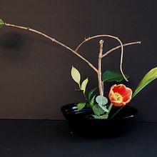 My project for course: Ikebana: flower arrangement for beginners. Interior Design, Decoration, Interior Decoration, Floral, and Plant Design project by strathconayim - 02.13.2024