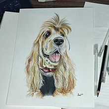 Mi proyecto del curso: Retratos de Mascotas en Lápices de Colores. Ilustração tradicional e Ilustração naturalista projeto de Sarai Canto - 13.02.2024