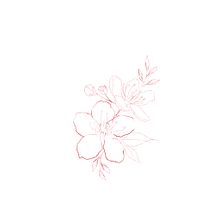 Mi proyecto del curso: Tatuaje botánico con puntillismo. Un progetto di Illustrazione tradizionale, Design di tatuaggi e Illustrazione botanica di Fernanda javiera Godoy Benítez - 14.02.2024