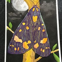 My project for course: Artistic Illustration with Chinese Ink and Watercolor. Watercolor Painting & Ink Illustration project by Jan Kent - 02.14.2024