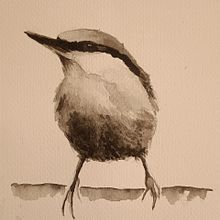 Il mio progetto del corso: Acquerello artistico per illustrazione di animali: gli uccelli. Un progetto di Illustrazione tradizionale, Pittura ad acquerello, Disegno realistico e Illustrazione naturalistica di elenamarano09 - 09.02.2024