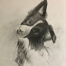 Mijn project van de cursus: Leer dieren illustreren met houtskool en inkt/monoprints. Fine Arts, Drawing, Ink Illustration, and Naturalistic Illustration project by anitavandijk - 02.15.2024