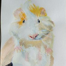 Sr.Coringa. Un proyecto de Diseño, Ilustración tradicional, Pintura gouache y Pintura de Ivette C Valdivia Gomez - 04.01.2024