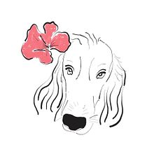 Sketch of my Irish Setter in procreate. Ilustração tradicional projeto de Anni Chu - 17.02.2024