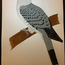 My project for course: Naturalist Bird Illustration with Watercolors. Traditional illustration, Watercolor Painting, Realistic Drawing, Naturalistic Illustration, and Gouache Painting project by Winston Liauw - 02.18.2024