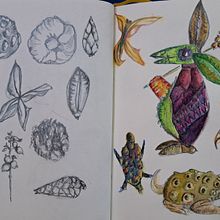 Mijn project van de cursus: Creëer een schetsboek met fantasiewezens geïnspireerd op de natuur Ein Projekt aus dem Bereich Bleistiftzeichnung, Zeichnung, Aquarellmalerei, Sketchbook und Naturalistische Illustration von Ursula Jansen - 18.02.2024