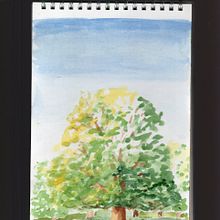 My project for course: Daily Sketching for Creative Inspiration. Traditional illustration, Sketching, Creativit, Drawing, and Sketchbook project by Shona Burch - 02.18.2024