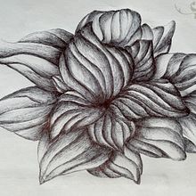 Mon projet du cours : Carnet de croquis illustré au stylo : jouez avec les erreurs . Schițe, Desen, Caiet de schițe & Ilustrație cu cerneală de Stéphanie Desmeules - 02.18.2024