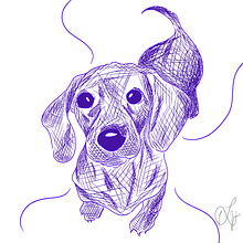 Perro Salchicha . Design, and Digital Design project by Laia Vila Garcia - 02.18.2024