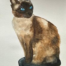 Expressive animal portraits in watercolour course by Sarah Stokes. Un proyecto de Artesanía de Phyllis Hewlett - 19.02.2024