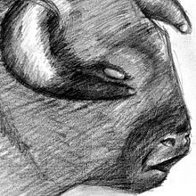 Toro. Un proyecto de Diseño, Ilustración tradicional, Bellas Artes, Bocetado, Creatividad, Dibujo a lápiz, Dibujo y Dibujo artístico de Mikel Urtasun Osacar - 30.05.2011