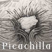 Picachilla. Un proyecto de Diseño, Ilustración tradicional, Bellas Artes, Diseño gráfico, Paisajismo, Creatividad, Dibujo a lápiz, Dibujo, Diseño de carteles, Dibujo artístico, Instagram e Ilustración naturalista				 de Mikel Urtasun Osacar - 21.03.2021