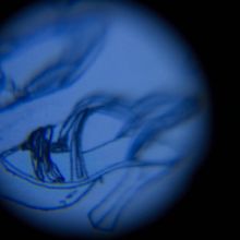 LA REALIDAD ES UNA MASA QUE SE ARRASTRA. Fine Arts, and 2D Animation project by Mauricio Ramírez Vásquez - 04.05.2018