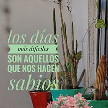 Mi proyecto del curso: Fotografía profesional para Instagram. Advertising, Photograph, Marketing, Mobile Photograph, Product Photograph, Mobile Marketing, Instagram, Instagram Photograph, Lifest, and le Photograph project by Catalina V Molina - 02.20.2024