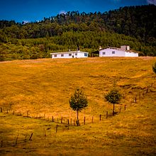 Mi proyecto del curso: Introducción a la fotografía digital. Un proyecto de Fotografía y Fotografía digital de Alan Zamora - 03.05.2022