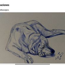 Dibujos mascotas. Fine Arts project by Mariluz Tomillo Ovejero - 02.21.2024