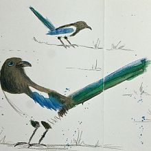 Mój projekt z kursu: Kreatywne szkice akwarelą dla początkujących. Traditional illustration, Sketching, Creativit, Drawing, Watercolor Painting, and Sketchbook project by Joanna Cieslinska - 02.21.2024