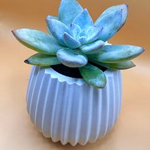 Mi proyecto del curso: Creación de muebles en concreto para principiantes. Un progetto di Artigianato, Design e creazione di mobili, Interior design, Interior Design e DIY di Dalia Cruz Romero de Alba - 22.02.2024