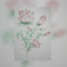 Mi proyecto del curso: Dibujo y composición naturalista en acuarela. Een project van Traditionele illustratie,  Tekening, Aquarelschilderen y Naturalistische illustratie van Laura Huerta - 22.02.2024