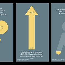 My project for course: Graphic Visualization: Telling Complex Stories through Simple Images. Design Management, Graphic Design, Information Design, Marketing, Infographics, Communication, and Presentation Design project by Cat Kolasky - 02.23.2024