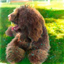 Spanish water dog realistic portrait drawing Ein Projekt aus dem Bereich Traditionelle Illustration, Bleistiftzeichnung, Zeichnung, Porträtzeichnung, Realistische Zeichnung, Artistische Zeichnung und Zeichnen mit Buntstiften von Mentiradeloro Esther Cuesta - 23.02.2024