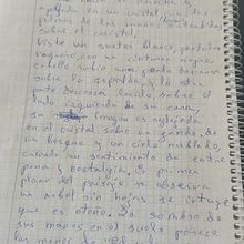Mi proyecto del curso: Gimnasio de escritura: de la hoja en blanco a la práctica cotidiana. Projekt z dziedziny Pisanie, Kreat, wność, Stor, telling, Narracja, Kreat i wne pisanie użytkownika miguel60 - 24.02.2024