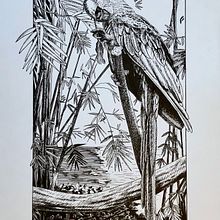 Mon projet du cours : Illustration à l'encre et à la plume : représentez le monde naturel. Un proyecto de Bocetado, Dibujo, Dibujo artístico, Sketchbook, Ilustración con tinta e Ilustración naturalista				 de mina_inverse - 24.02.2024