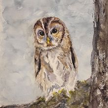 My project for course: Expressive Animal Portraits in Watercolor. Traditional illustration, Watercolor Painting, Realistic Drawing, and Naturalistic Illustration project by Ann Moss - 02.25.2024