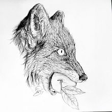 Mi proyecto del curso: Dibujo naturalista de animales con grafito. Un progetto di Illustrazione tradizionale, Disegno a matita, Disegno e Illustrazione naturalistica di Carlos Enrique Jauregui Camacho - 03.06.2017