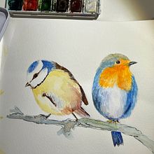 My project for course: Artistic Watercolor Techniques for Illustrating Birds . Ilustrasi tradisional, Lukisan Cat Air, Gambar Realistis & Ilustrasi Naturalistik proyek oleh Lin - 02.23.2024