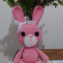 Meu projeto do curso: Amigurumi de animais com crochê. Un progetto di Design di giocattoli, Fiber Art, DIY, Uncinetto, Amigurumi e Textile Design di Bárbara Carneiro - 25.02.2024