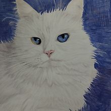 Mi proyecto del curso: Retratos de Mascotas en Lápices de Colores. Traditional illustration, and Naturalistic Illustration project by celia_ - 02.28.2024