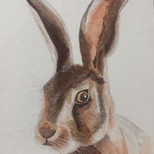 Mi proyecto del curso: Técnicas experimentales de acuarela para principiantes Ein Projekt aus dem Bereich Traditionelle Illustration, Bildende Künste, Aquarellmalerei und Naturalistische Illustration von Laura Alvarez - 27.02.2024