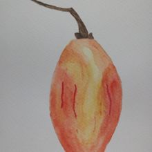 Proyecto final de Acuarela Ein Projekt aus dem Bereich Traditionelle Illustration, Bildende Künste, Malerei, Zeichnung, Aquarellmalerei und Botanische Illustration von marycordero101 - 27.02.2024