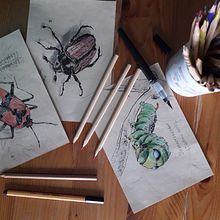 Insect collection - previous works Ein Projekt aus dem Bereich Traditionelle Illustration und Malerei von Aliya Rakhmetova - 10.01.2024
