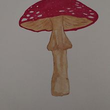 Acuarela naturalista  Ein Projekt aus dem Bereich Traditionelle Illustration, Aquarellmalerei und Zeichnung von Mónica María Acosta Pulgarin - 28.02.2024