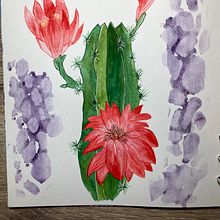 My project for course: Botanical Sketchbooking: A Meditative Approach. Projekt z dziedziny Trad, c, jna ilustracja, Sketching,  R, sunek, Malowanie akwarelą, R, sunek botaniczn i Sketchbook użytkownika Kathy Evans - 24.02.2024