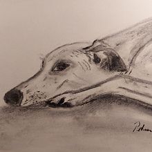 Mein Abschlussprojekt für den Kurs: Tiere zeichnen mit Kohle und Tusche. Fine Arts, Drawing, Ink Illustration, and Naturalistic Illustration project by petra_falk - 02.28.2023