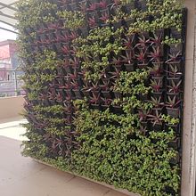 My project for course: Home Styling and Decoration with Plants. Design interativo, Decoração de interiores, Interiores, DIY, Design floral e vegetal, e Design de espaços projeto de Dr.Yogesh Bhosale - 28.02.2024