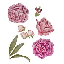 Elementos para diseño de Patron. Textile Printing, Watercolor Painting, and Artistic Drawing project by Cecilia Lema - 02.28.2024