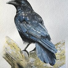 My project for course: Experimental Watercolor Techniques for Beginners. Projekt z dziedziny Malowanie akwarelą, Trad, c, jna ilustracja,  Sztuki piękne, Ilustracja naturalist i czna użytkownika paula.ladner - 27.02.2024