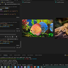 Mi proyecto del curso: Introducción a la IA con Python. Un proyecto de Programación, Desarrollo Web e Inteligencia Artificial de sebgox25 - 01.03.2023