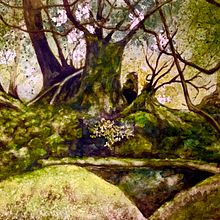Il mio progetto del corso: Paesaggi incantevoli ad acquerello: dipingi con la luce. Un proyecto de Pintura y Pintura a la acuarela de pigra68 - 29.02.2024
