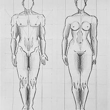 DA- Anatomia proporción . Pencil Drawing, Drawing, Figure Drawing, and Artistic Drawing project by yaiza alcalá mateo - 02.29.2024