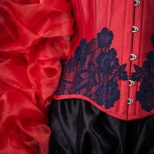 Past corsetry work. Un progetto di Costume design di Lanie White - 02.03.2024