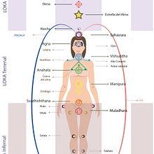 Mapa de chakras- Infografía. Un proyecto de Infografía, Diseño gráfico, Ilustración vectorial, Educación y Diseño de carteles de Isabel Martín - 15.02.2024