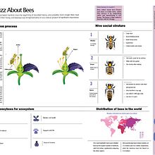 My project for course: Information Design for Editorial Infographics. Un progetto di Graphic design, Design dell’informazione, Design interattivo e Infografica di Eman Fahmy - 07.12.2024