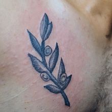 Mi proyecto del curso: Tatuaje botánico con puntillismo. Traditional illustration, Tattoo Design, and Botanical Illustration project by EM Laureano Negron - 06.11.2022