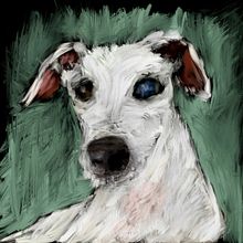 My project for course: Creating Original Illustrations with a Tablet. Traditional illustration, Drawing, Digital Illustration, and Digital Drawing project by ajthrelfall - 03.04.2024