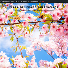 Mi proyecto del curso: Creación de una web profesional con WordPress. UX / UI, IT, Web Design, Web Development, No-Code Development, and Digital Product Design project by Paulina Ayala Amed - 03.04.2024